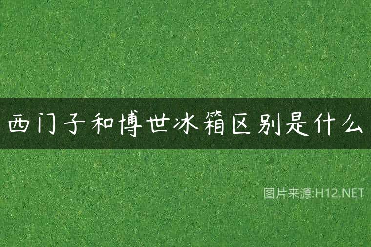 西门子和博世冰箱区别是什么