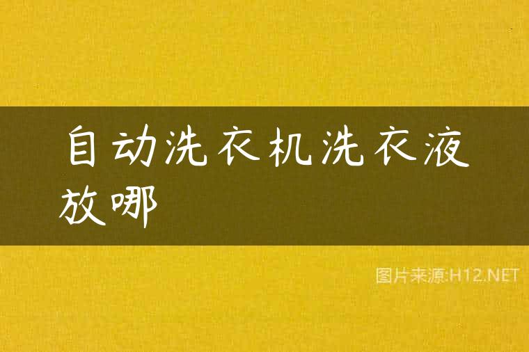 自动洗衣机洗衣液放哪