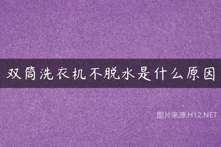 双筒洗衣机不脱水是什么原因