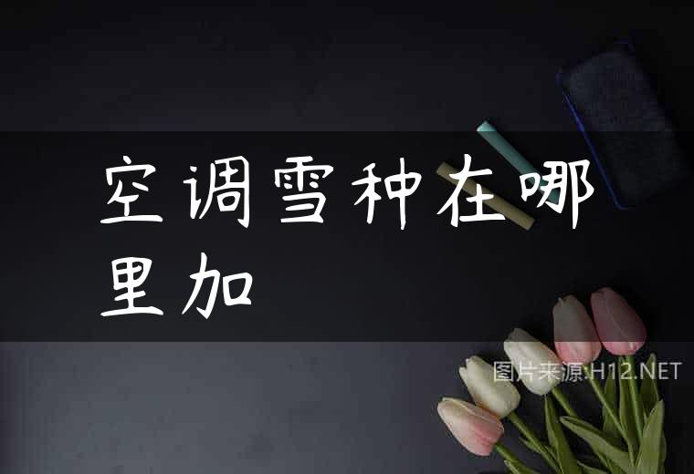 空调雪种在哪里加