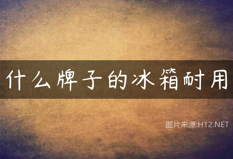 什么牌子的冰箱耐用