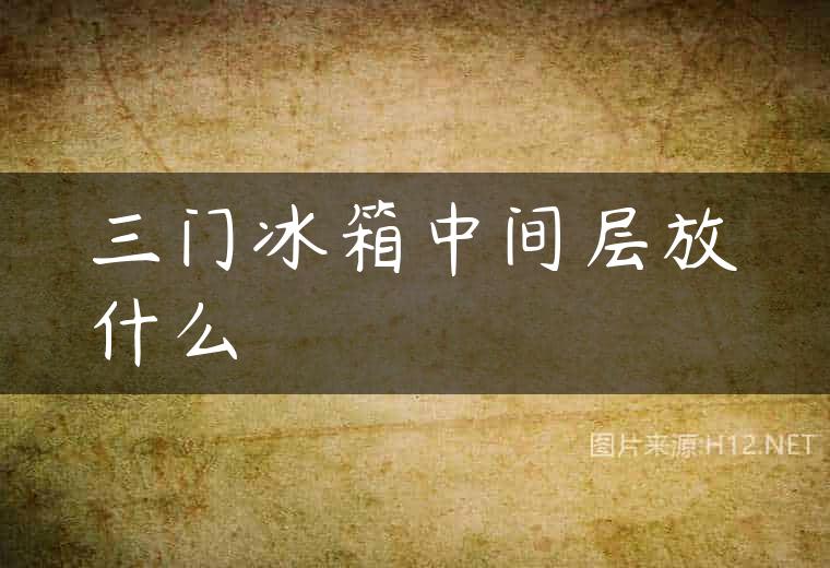 三门冰箱中间层放什么