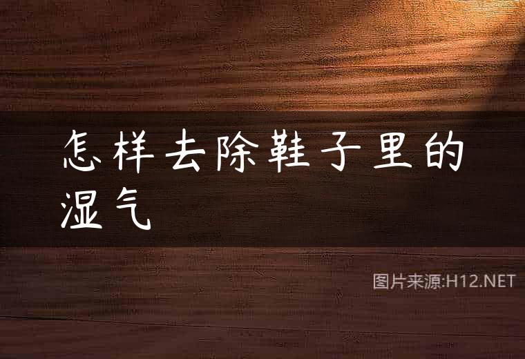 怎样去除鞋子里的湿气