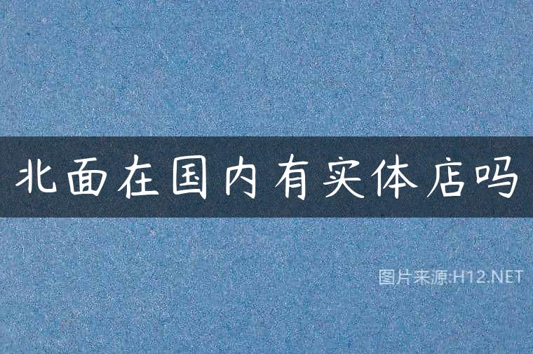 北面在国内有实体店吗