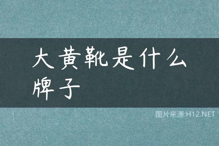 大黄靴是什么牌子