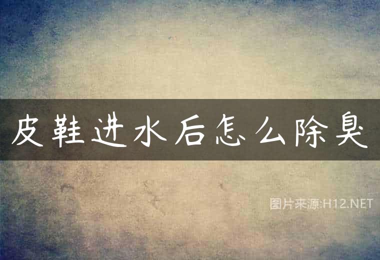皮鞋进水后怎么除臭