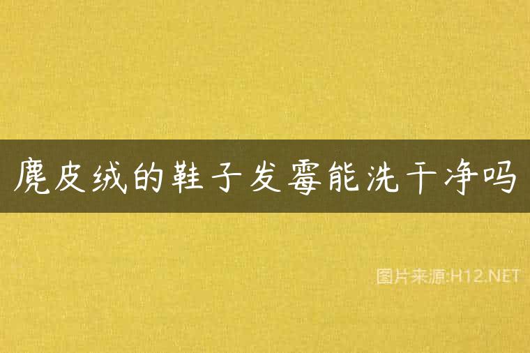 麂皮绒的鞋子发霉能洗干净吗