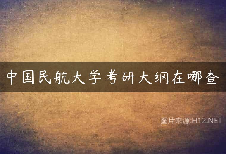 中国民航大学考研大纲在哪查