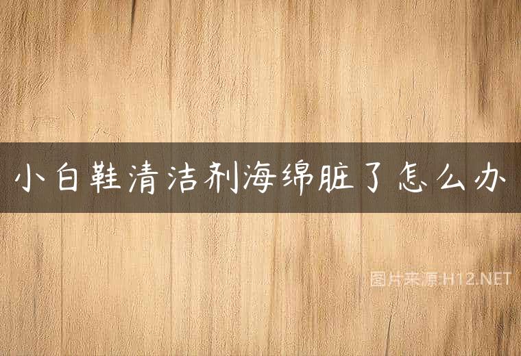 小白鞋清洁剂海绵脏了怎么办