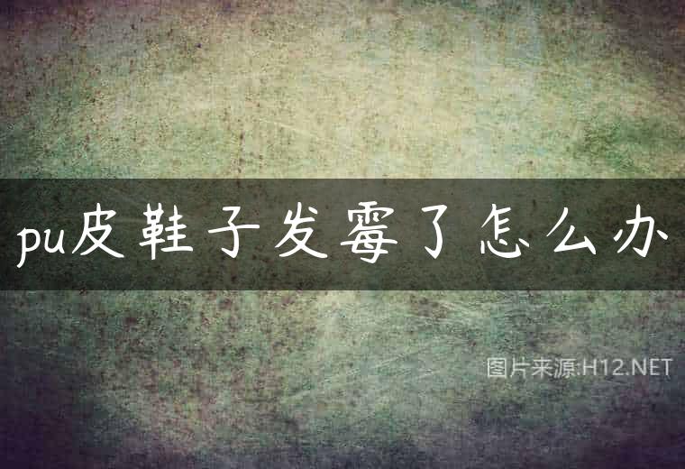 pu皮鞋子发霉了怎么办