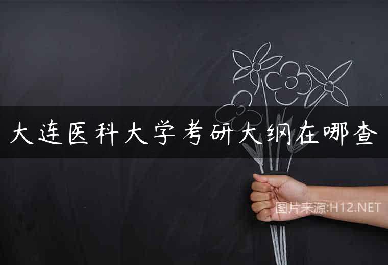 大连医科大学考研大纲在哪查