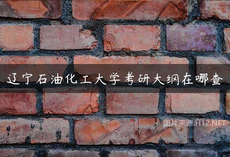 辽宁石油化工大学考研大纲在哪查
