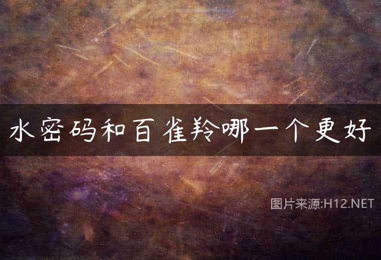 水密码和百雀羚哪一个更好