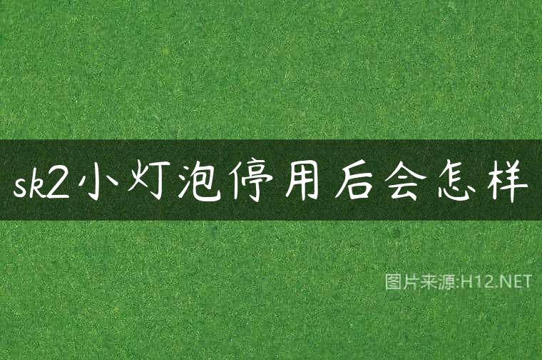 sk2小灯泡停用后会怎样