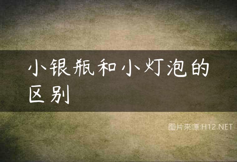 小银瓶和小灯泡的区别