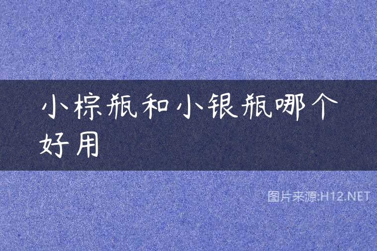 小棕瓶和小银瓶哪个好用