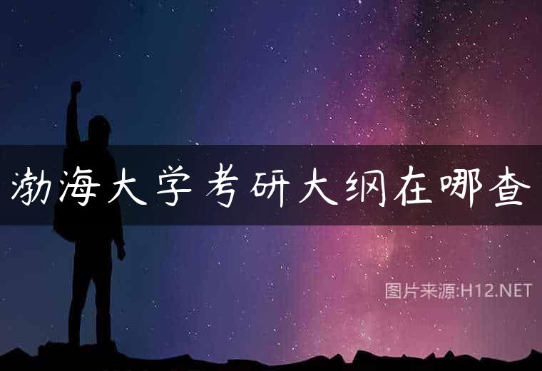 渤海大学考研大纲在哪查