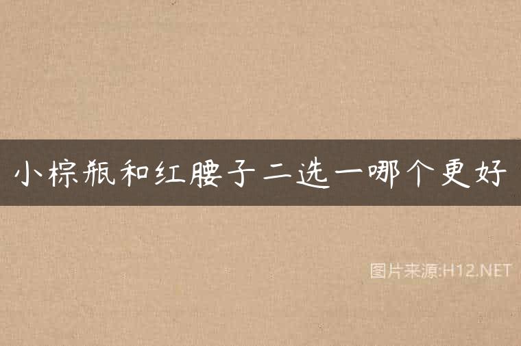 小棕瓶和红腰子二选一哪个更好
