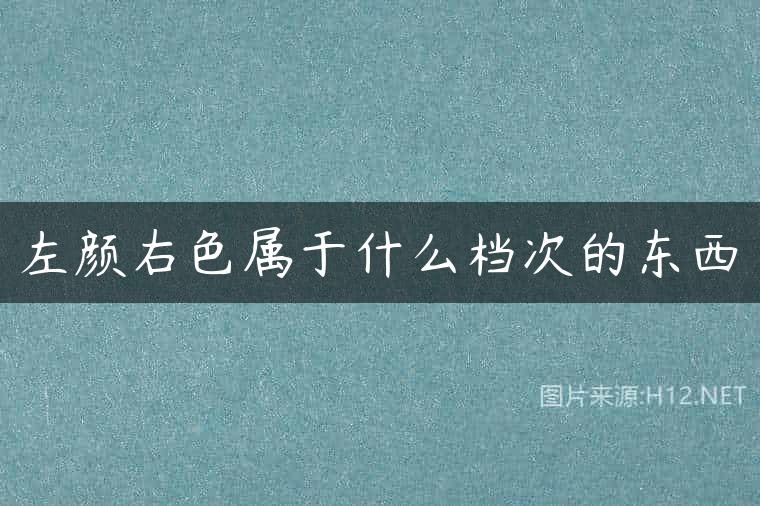 左颜右色属于什么档次的东西