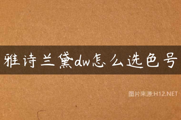 雅诗兰黛dw怎么选色号