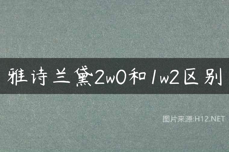 雅诗兰黛2w0和1w2区别