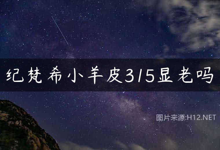 纪梵希小羊皮315显老吗