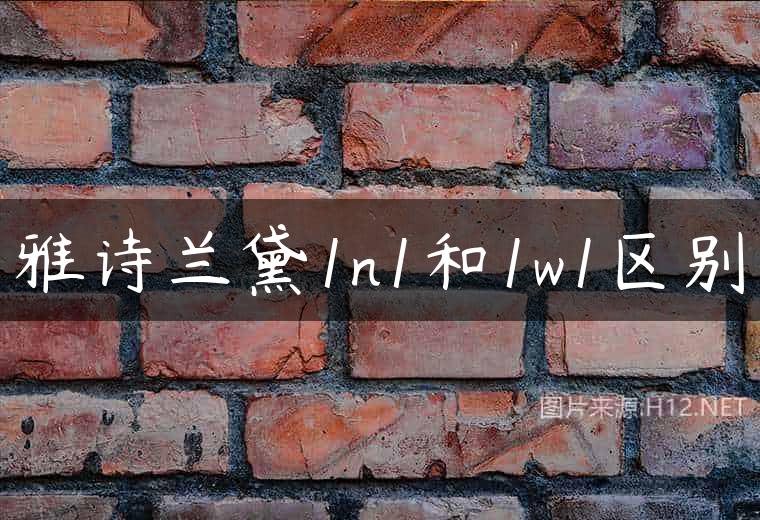 雅诗兰黛1n1和1w1区别