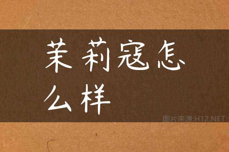 茉莉寇怎么样