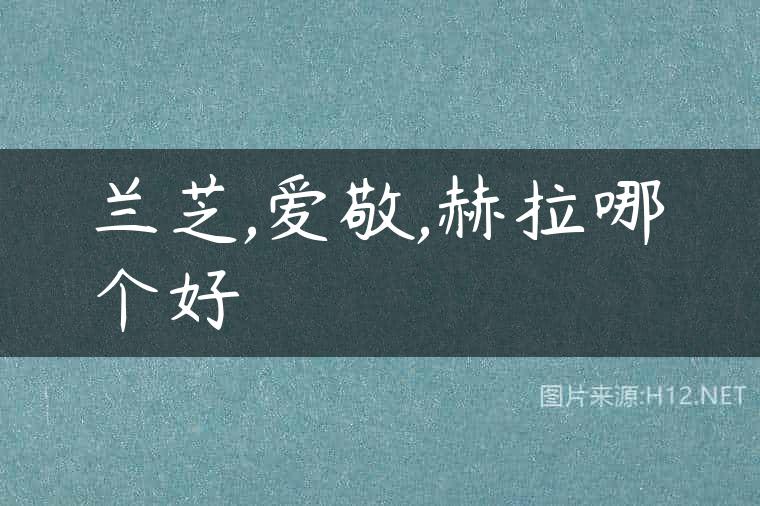 兰芝,爱敬,赫拉哪个好
