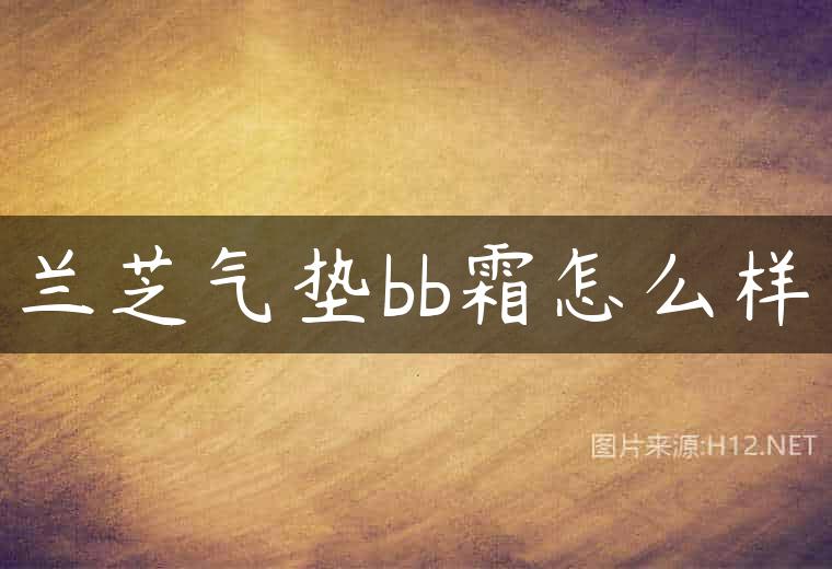 兰芝气垫bb霜怎么样