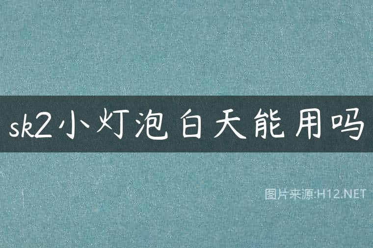 sk2小灯泡白天能用吗