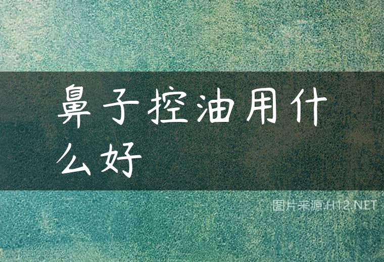 鼻子控油用什么好