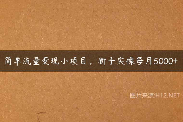 简单流量变现小项目，新手实操每月5000+