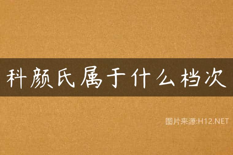科颜氏属于什么档次