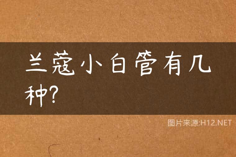 兰蔻小白管有几种?