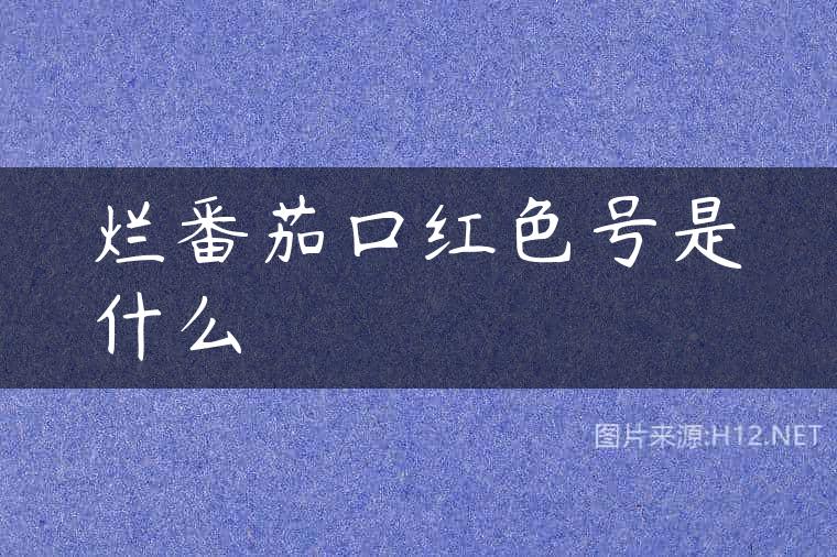 烂番茄口红色号是什么