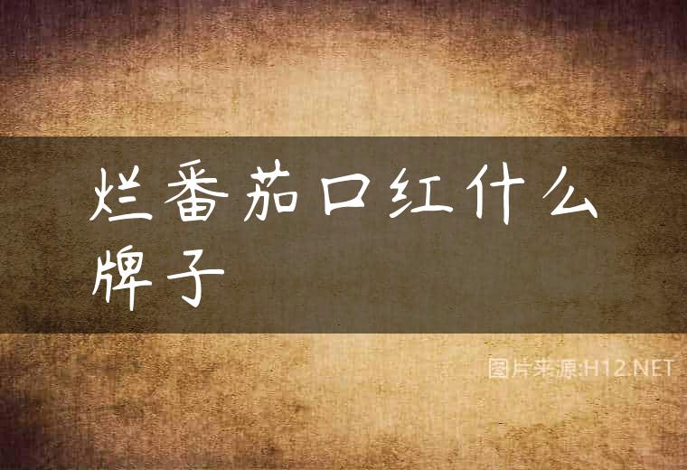烂番茄口红什么牌子