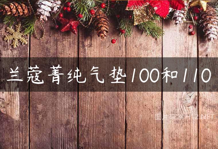 兰蔻菁纯气垫100和110