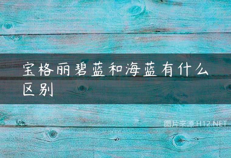 宝格丽碧蓝和海蓝有什么区别