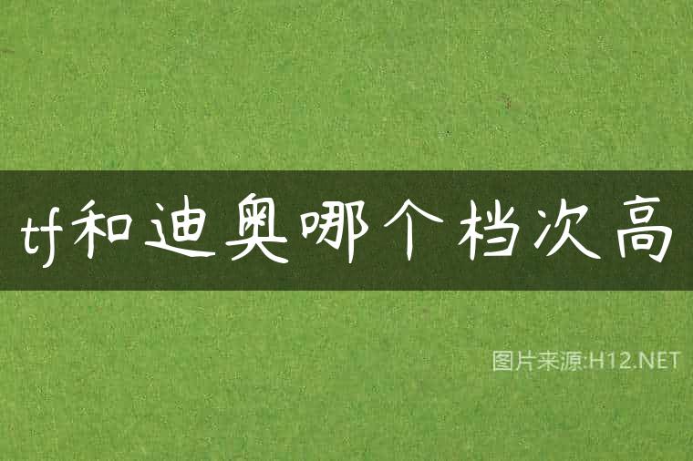 tf和迪奥哪个档次高