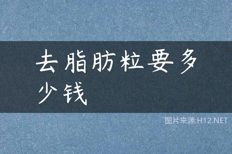 去脂肪粒要多少钱