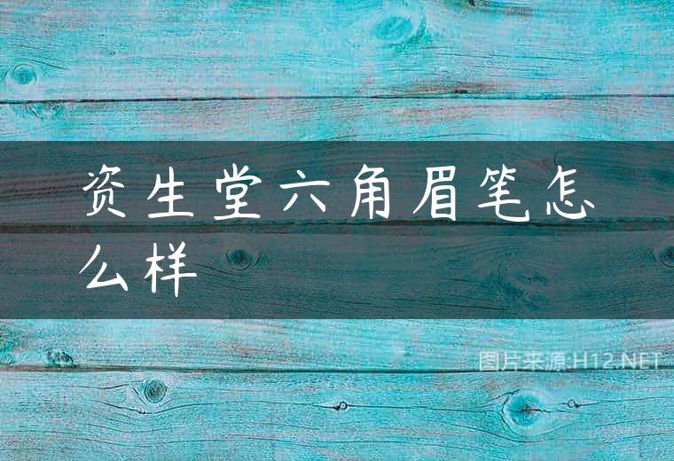 资生堂六角眉笔怎么样