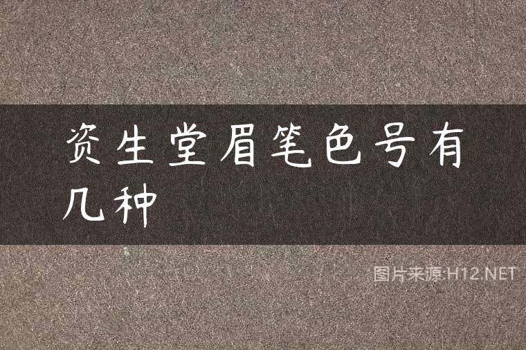 资生堂眉笔色号有几种