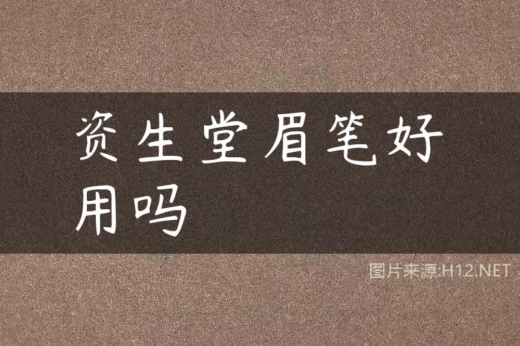 资生堂眉笔好用吗