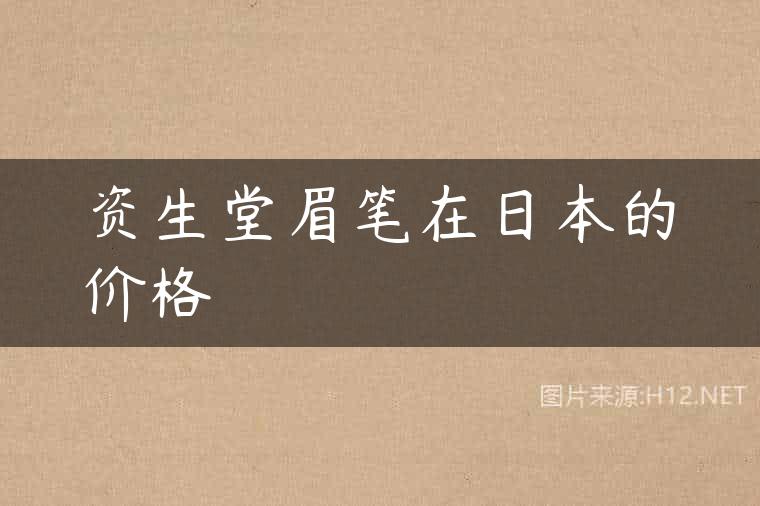 资生堂眉笔在日本的价格