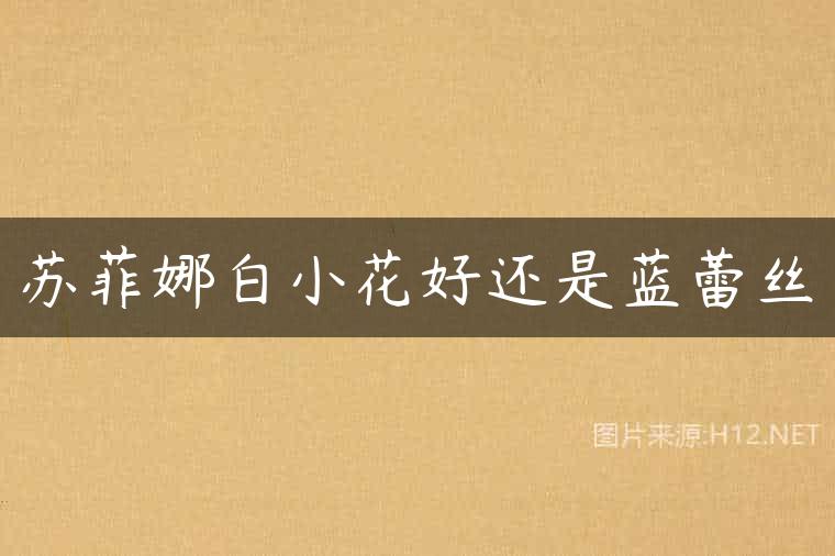 苏菲娜白小花好还是蓝蕾丝