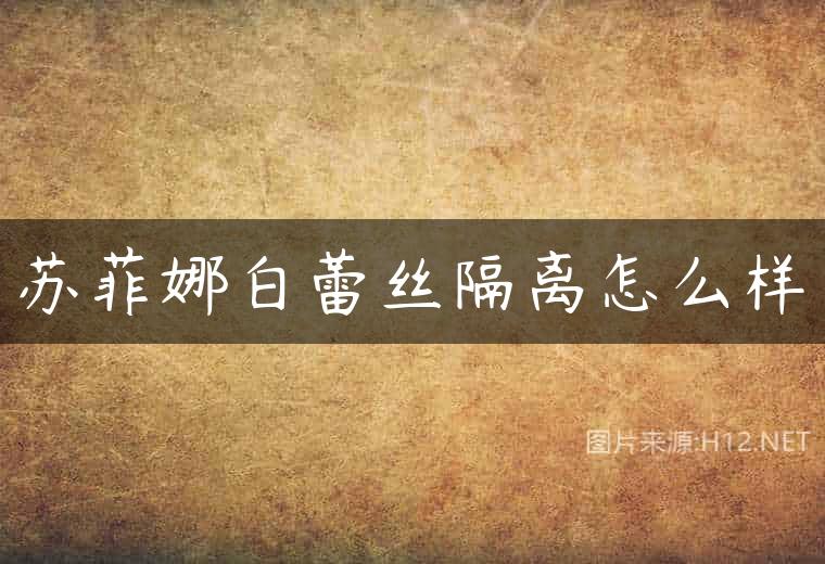 苏菲娜白蕾丝隔离怎么样