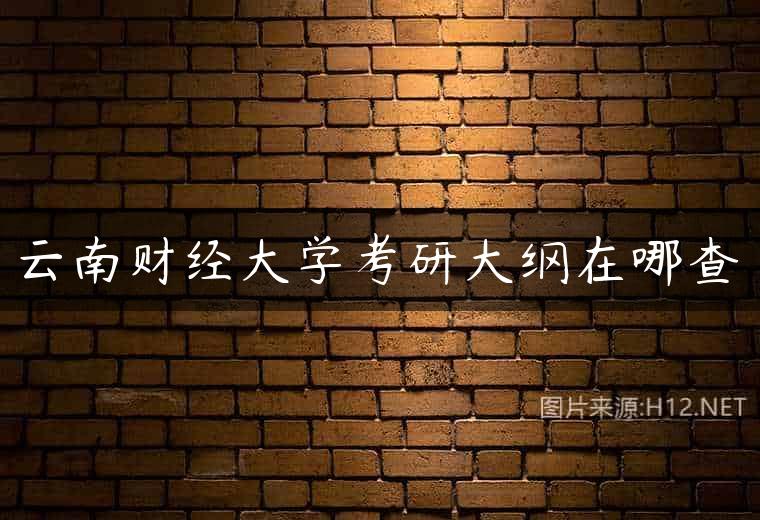 云南财经大学考研大纲在哪查