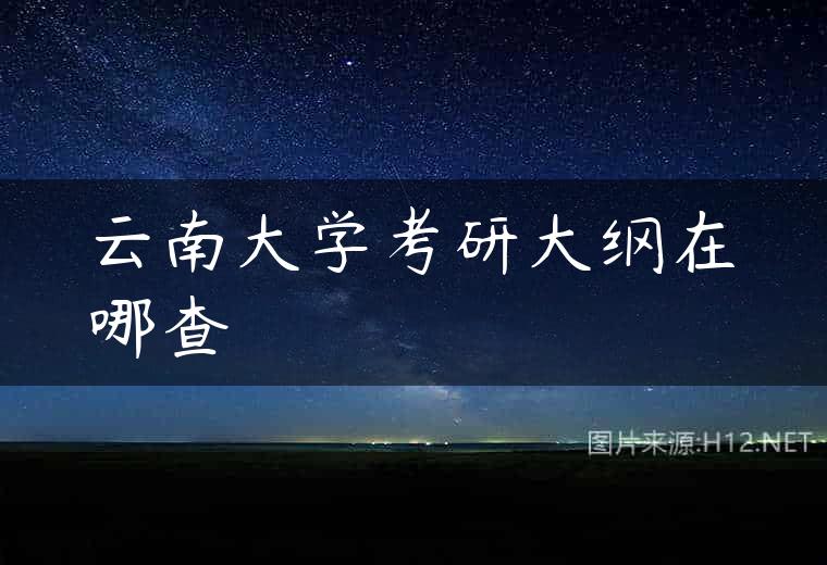 云南大学考研大纲在哪查