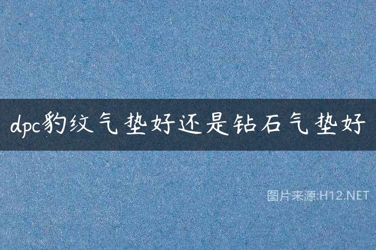 dpc豹纹气垫好还是钻石气垫好